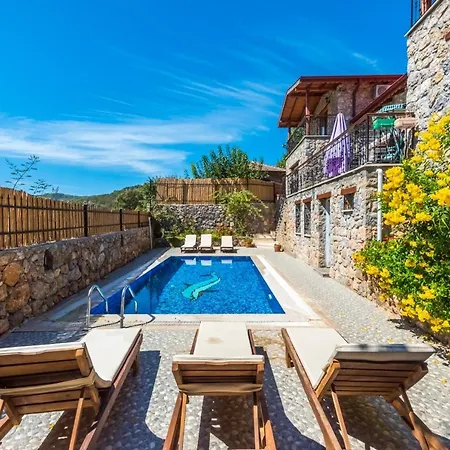 Seabird Villa