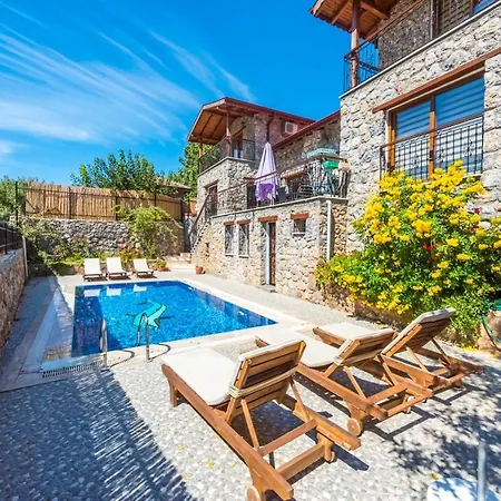 Seabird Villa